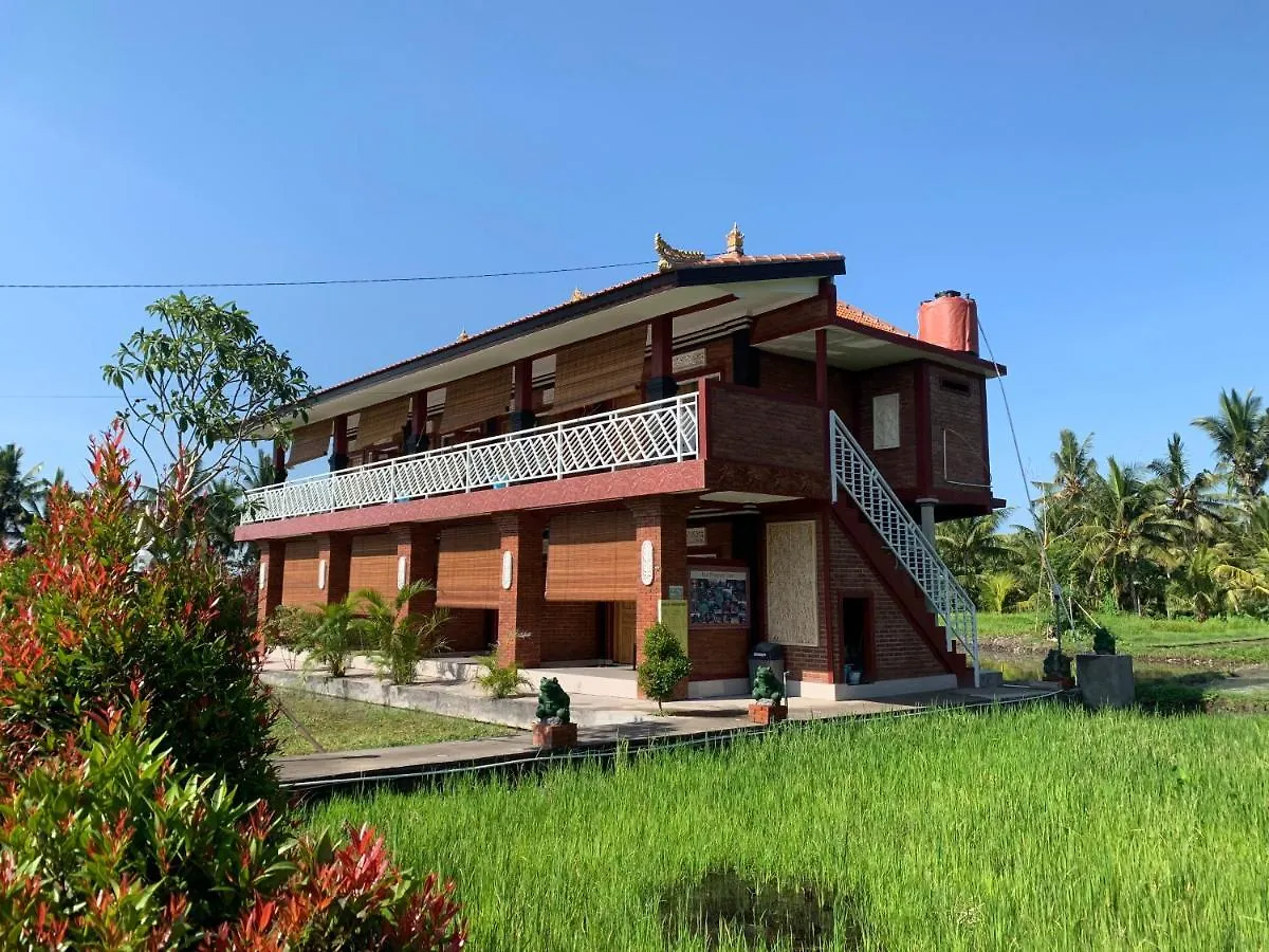 Guest house Soca House Hotel Ubud  Indonesia